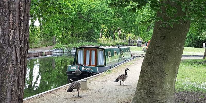 Moorings at the Canal Centre