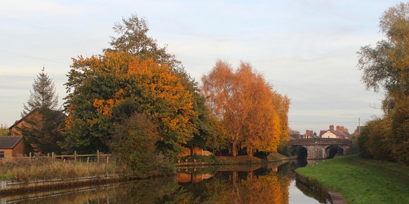 Trent & Mersey Canal