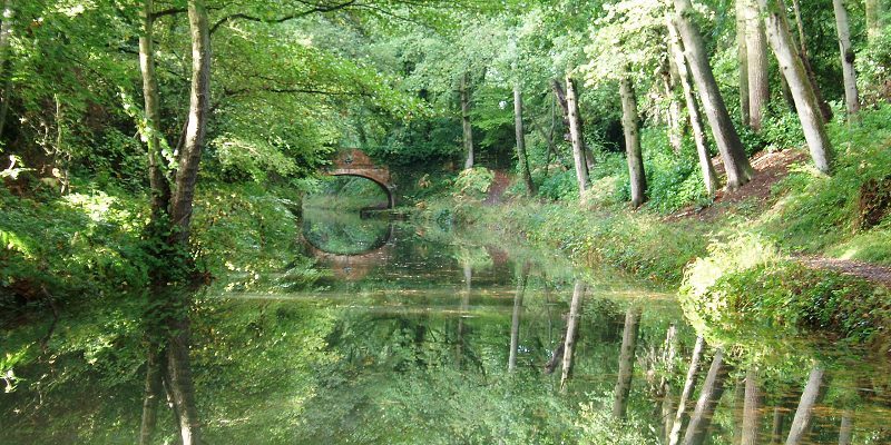 Reflections in Water