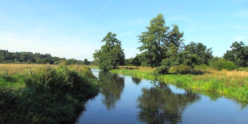 Near St Catherine's River Wey