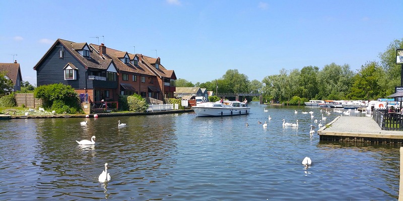 Cruising in Wroxham